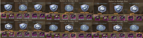 chief badges.png