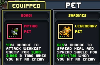 pet 2.jpg