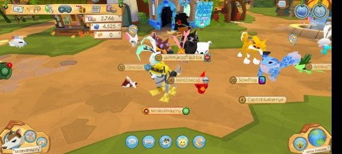 Screenshot_20210808-045418_Animal Jam.jpg