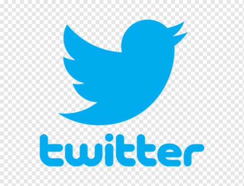 png-transparent-social-media-twitter-blog-user-pajarito-computer-network-text-logo.png