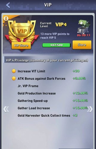 Vip level.jpg