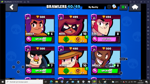 BRAWL STARS 1.png