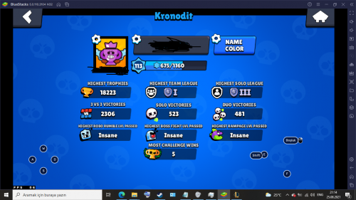 BRAWL STARS 9.png