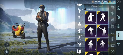 Screenshot_20211023-132049_PUBG MOBILE.jpg