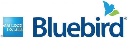 bluebird-review.jpg