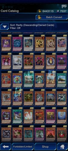 Screenshot_2021-11-17-22-08-46-864_jp.konami.duellinks.jpg