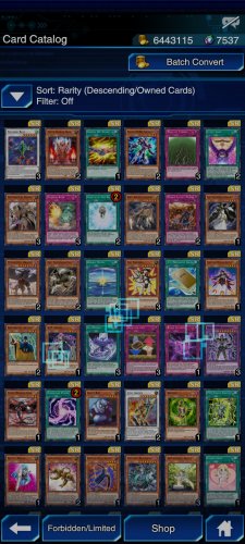 Screenshot_2021-11-17-22-08-37-465_jp.konami.duellinks.jpg