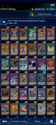 Screenshot_2021-11-17-22-08-50-048_jp.konami.duellinks.jpg