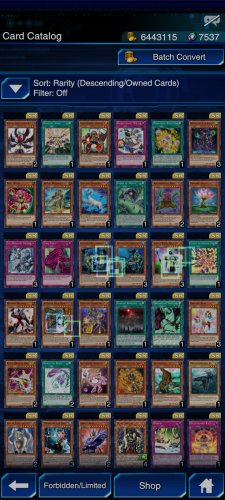 Screenshot_2021-11-17-22-08-56-436_jp.konami.duellinks.jpg