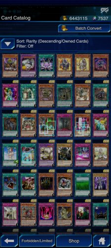 Screenshot_2021-11-17-22-09-11-769_jp.konami.duellinks.jpg