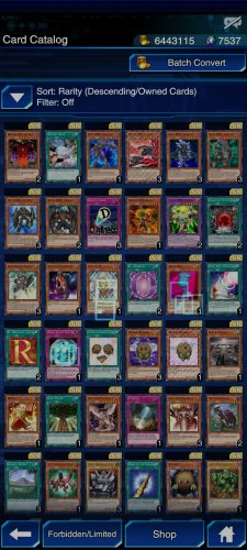 Screenshot_2021-11-17-22-09-17-944_jp.konami.duellinks.jpg