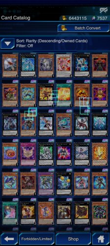 Screenshot_2021-11-17-22-07-40-568_jp.konami.duellinks.jpg