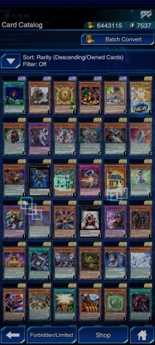 Screenshot_2021-11-17-22-08-11-123_jp.konami.duellinks.jpg