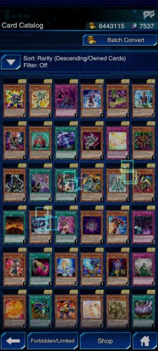 Screenshot_2021-11-17-22-09-21-607_jp.konami.duellinks.jpg