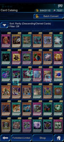 Screenshot_2021-11-17-22-09-35-378_jp.konami.duellinks.jpg