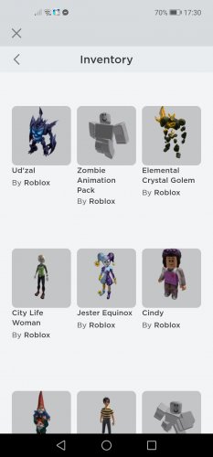 Screenshot_20211202_173034_com.roblox.client.jpg