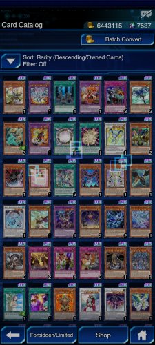 Screenshot_2021-11-17-22-07-48-088_jp.konami.duellinks.jpg