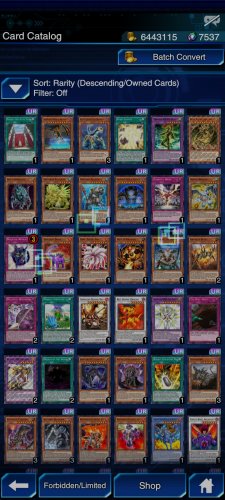 Screenshot_2021-11-17-22-07-53-044_jp.konami.duellinks.jpg