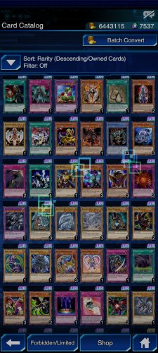 Screenshot_2021-11-17-22-08-08-181_jp.konami.duellinks.jpg