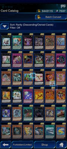 Screenshot_2021-11-17-22-08-23-706_jp.konami.duellinks.jpg