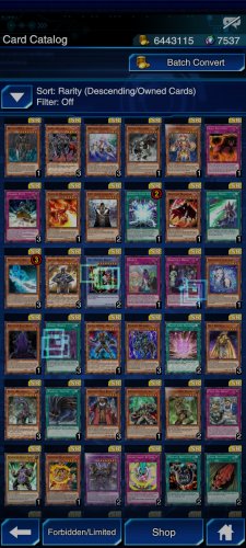 Screenshot_2021-11-17-22-09-08-597_jp.konami.duellinks.jpg