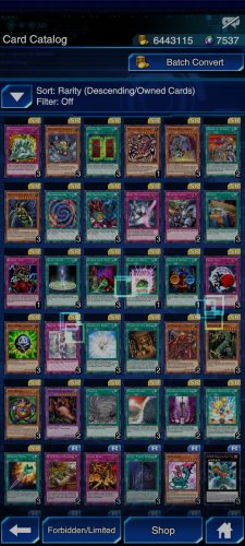 Screenshot_2021-11-17-22-09-38-859_jp.konami.duellinks.jpg