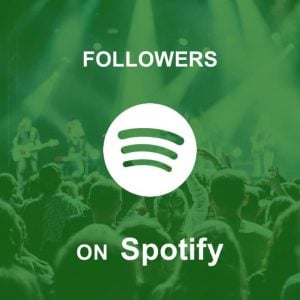 buy-spotify-followers-letmusicplays-300x300.jpg