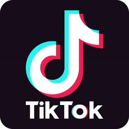 tiktok-logo-icon.png