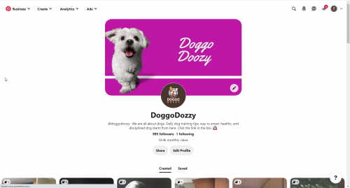 dogdozzypinterest1acc.png