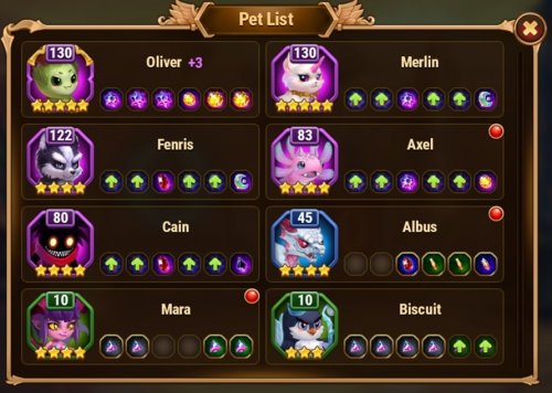 HW pets.jpg