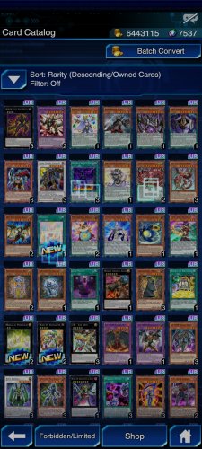 Screenshot_2021-11-17-22-07-32-308_jp.konami.duellinks.jpg