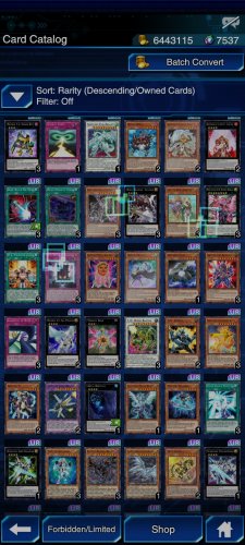 Screenshot_2021-11-17-22-07-36-999_jp.konami.duellinks.jpg