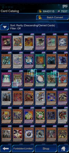 Screenshot_2021-11-17-22-07-56-792_jp.konami.duellinks.jpg