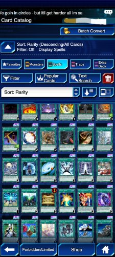 Screenshot_20220121-185749_Duel Links.jpg