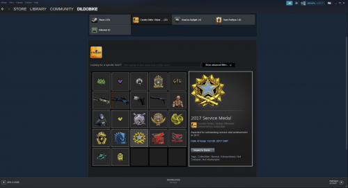 STEAM INVENTORY.png