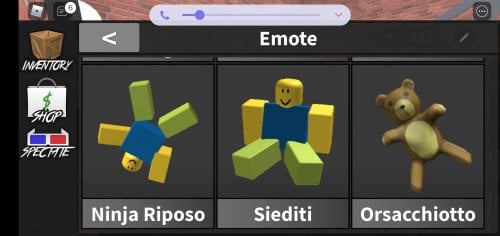 Screenshot_20220304-213554_Roblox.jpg