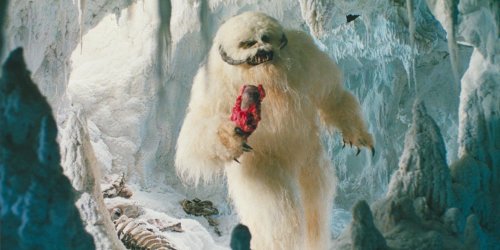 Wampa.jpeg