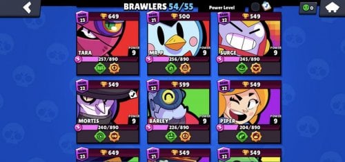 Screenshot_20220313-230535_Brawl Stars.jpg