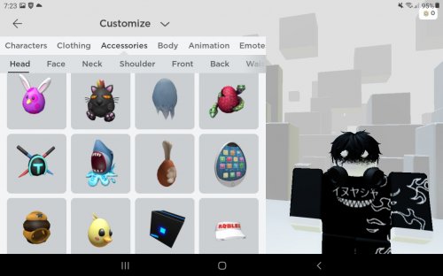 Screenshot_20220327-072345_Roblox.jpg