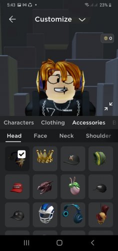 Screenshot_20220411-054331_Roblox.jpg