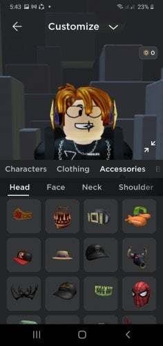 Screenshot_20220411-054340_Roblox.jpg