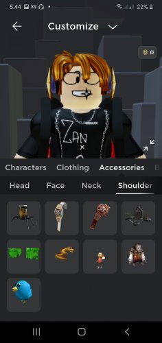 Screenshot_20220411-054407_Roblox.jpg