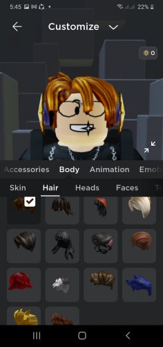 Screenshot_20220411-054505_Roblox.jpg