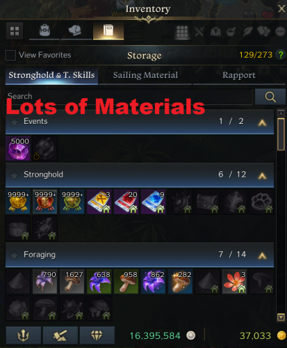 (18) Inventory Materials.PNG