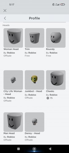 Screenshot_2022-06-11-05-17-36-375_com.roblox.client.jpg