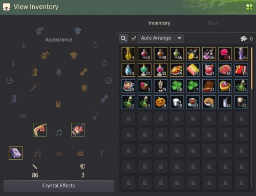 Inventory11.jpg