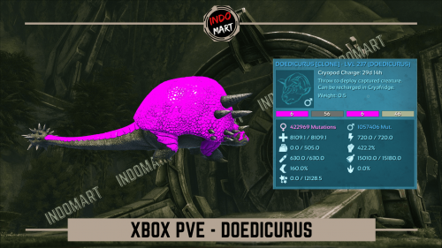 DOEDICURUS XB.png