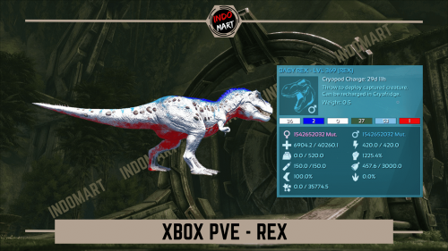 REX XB.png