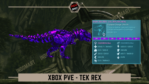 REX-TEK XB.png