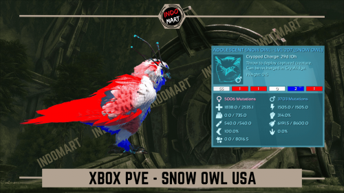 SNOW OWL USA XB.png